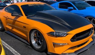 Неделя Mustang 2020 отменена из-за COVID-19