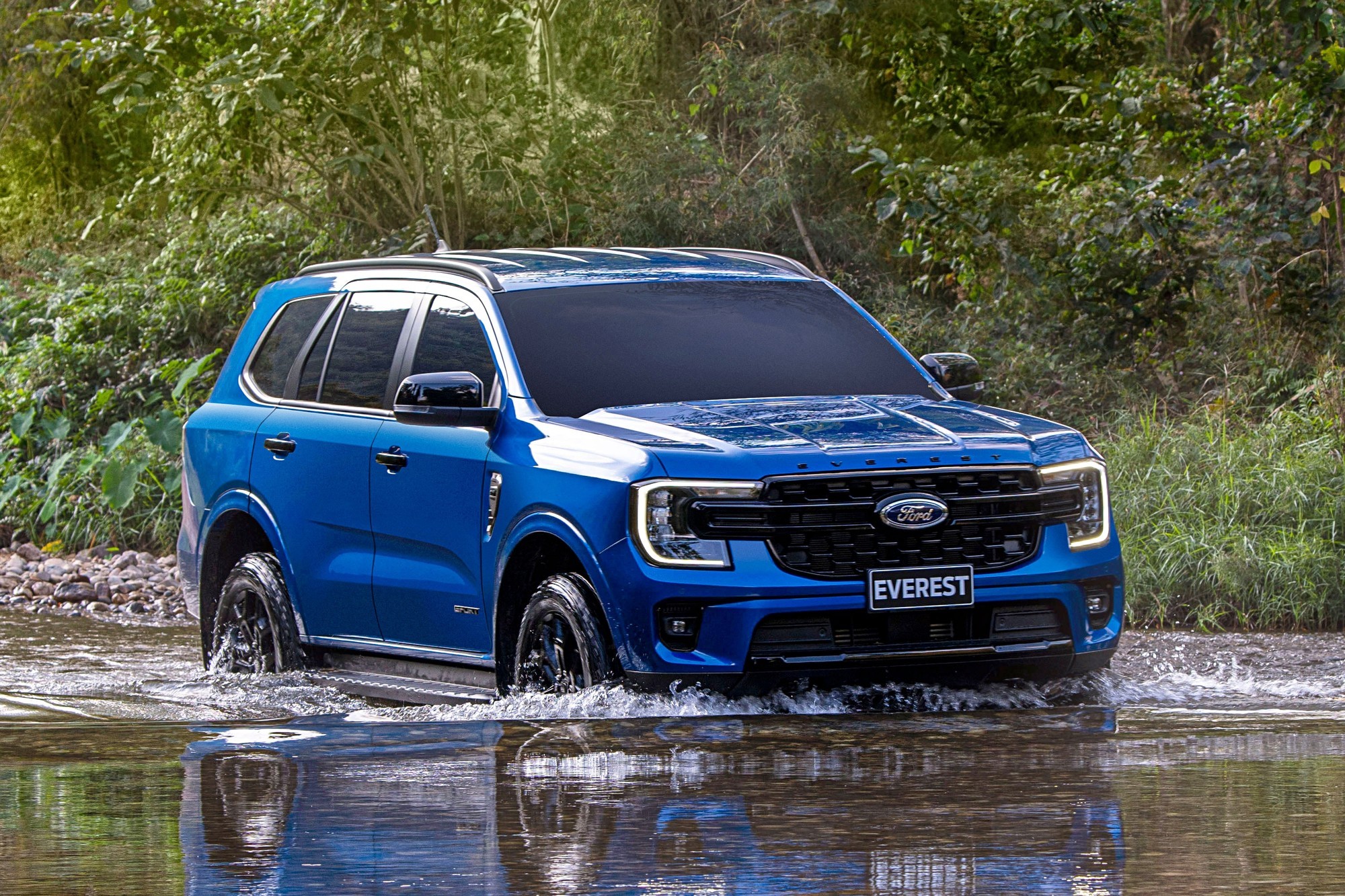 p10 - превью