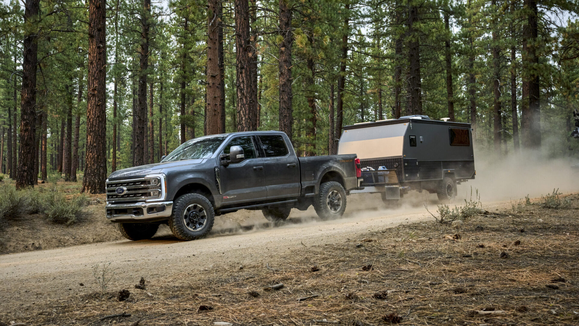 FORD F-SERIES SUPER DUTY фото 5 - превью