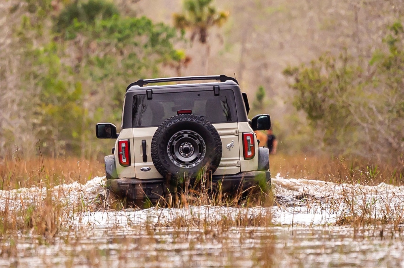 Данные о Ford Bronco Everglade 2022 года фото 1 - превью